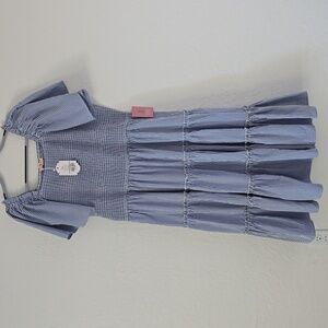 NWT IVY CITY BLUE GINGHAM DRESS SIZE 3X